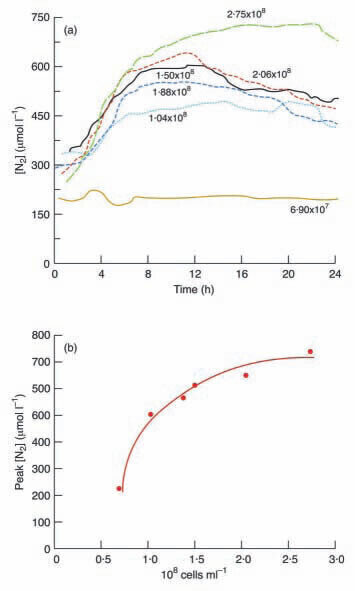 膜入口质谱计系统协助反硝化研究