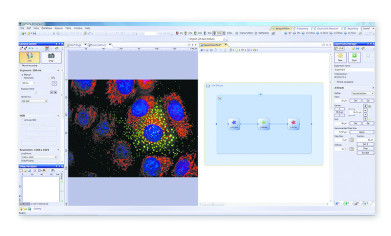 Cellens 1.11-发现新的简单水平