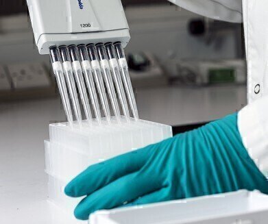 快速有效去除干扰蛋白