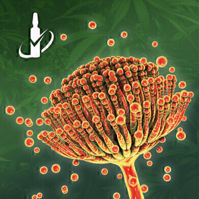 新的参考标准靶向大麻中的霉菌毒素