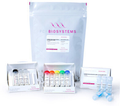 新的PCR生物系统套件，用于量化为Illumina®NGS系统准备的库