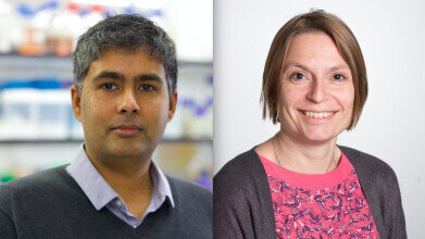 邓迪科学家SCbetway88体育官网OOP欧盟资助奖“>
            <div>
             <div>
              <i class=