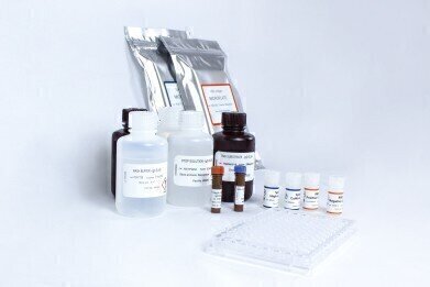 新型COVID-19抗体精确定量检测试剂盒问世