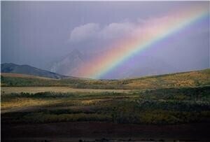 格兰特对工业酵母生产项目的支持