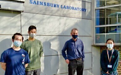 植物细胞受体联合起来打败细菌入侵