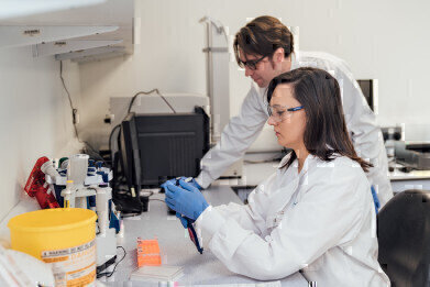 方案突出了创新对经济增长的重要性