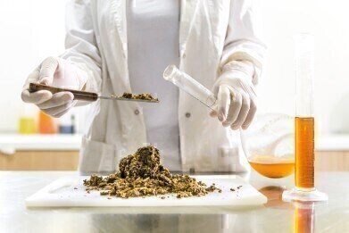 什么技术被用于食品分析?