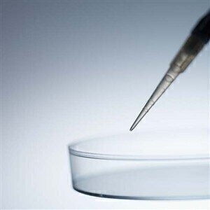 合作伙伴关系宣布首次3D细胞文化开发