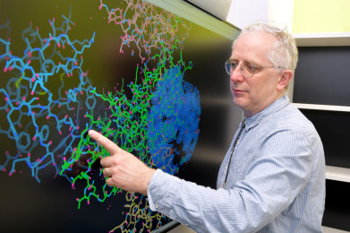 美洲驼抗体可以为Covid-19治疗提供全球资源吗？