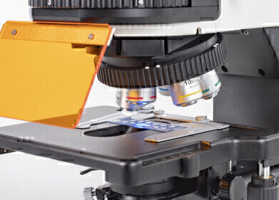 应用世界 - 显微镜世界