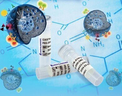 安全地确定疫苗过敏
