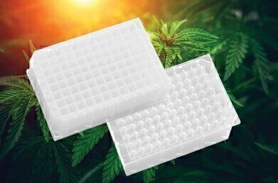 优化大麻样品处理的微板板