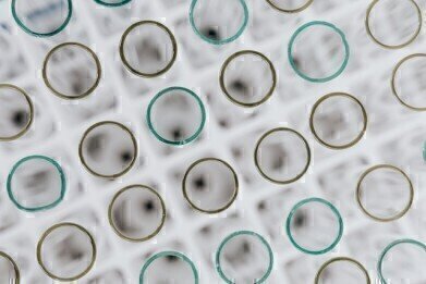 为什么卫生在实验室很重要?