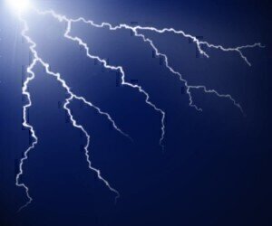 Free Lims系列讲座