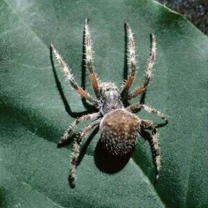 系统带来了高分辨率的生物过程监控