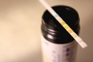 光学显微镜的终身保修