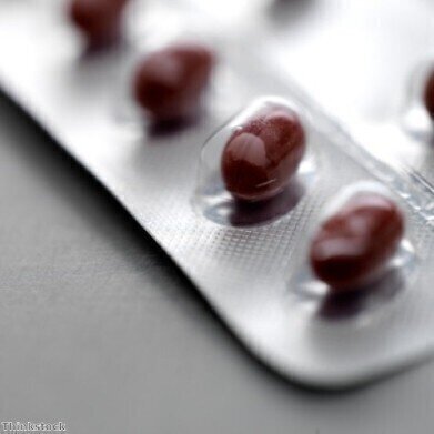 行政主任科技发展基金