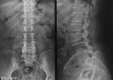 安德鲁王子参观迪拜健康博览会阿比馆